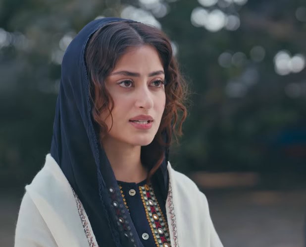 Zanjeerain Second Last Episode - Fans Sad For Sarbuland & Zarmala