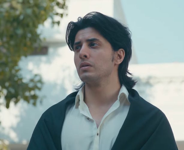 Zanjeerain Second Last Episode - Fans Sad For Sarbuland & Zarmala