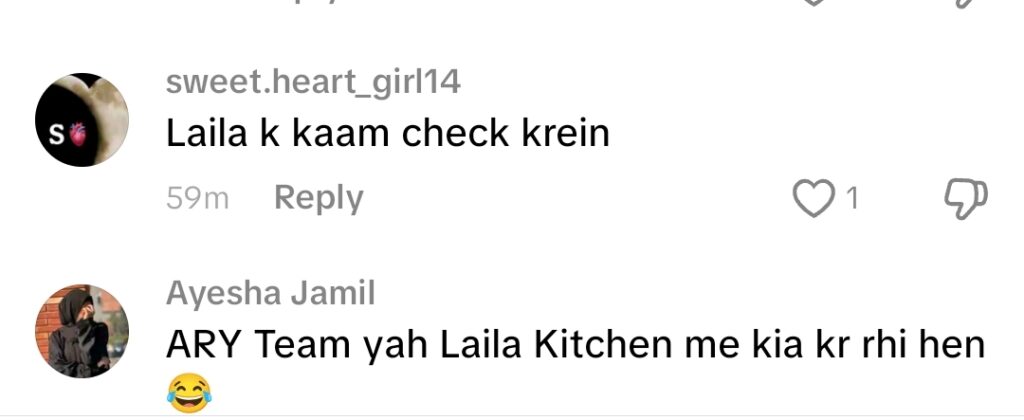 Laila Graces Tamasha Kitchen Because of Badshah Salamat Laila Graces Tamasha Kitchen Because of Badshah Salamat