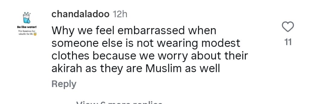 Hira Mani's Dressing At Canada Meet & Greet Sparks Backlash Hira Mani’s Dressing At Canada Meet & Greet Sparks Backlash