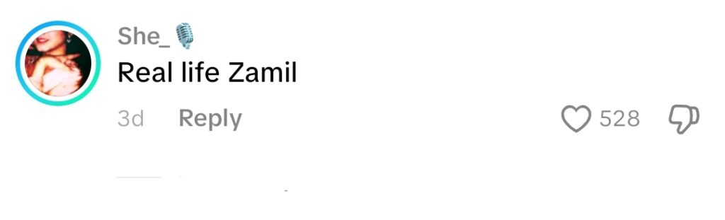 Fans Term Sheheyar Munawar Real Life Zamil