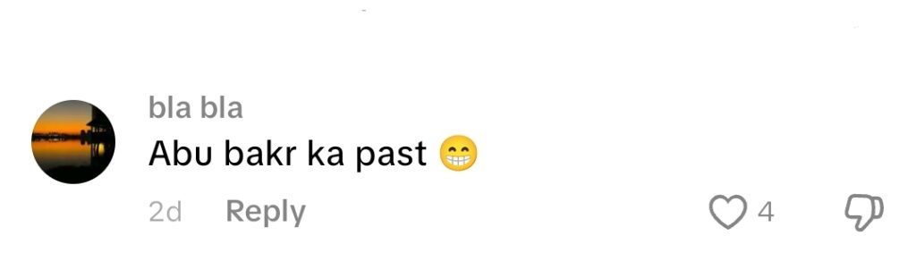 Fans Term Sheheyar Munawar Real Life Zamil