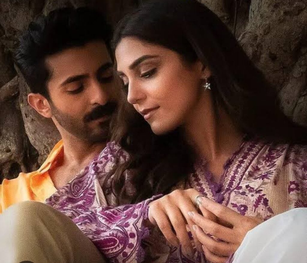 Fans Term Sheheyar Munawar Real Life Zamil