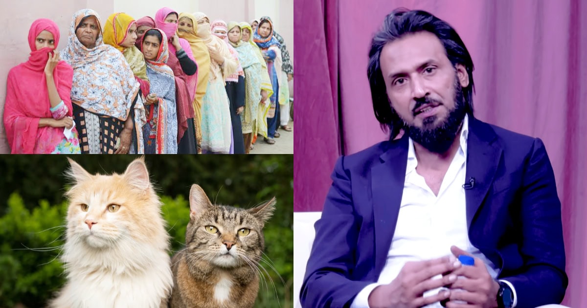 sahil-adeem Sahil Adeem Says That Pakistani Women Are More Accessible Than Cats